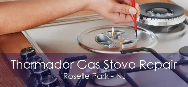 Thermador Gas Stove Repair Roselle Park - NJ