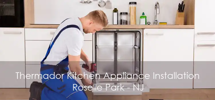 Thermador Kitchen Appliance Installation Roselle Park - NJ