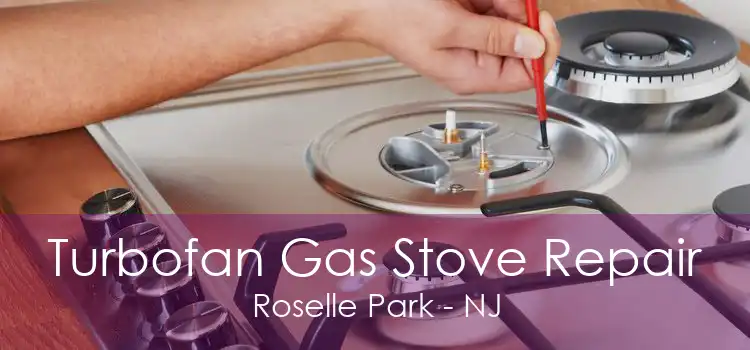 Turbofan Gas Stove Repair Roselle Park - NJ