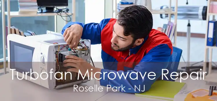 Turbofan Microwave Repair Roselle Park - NJ