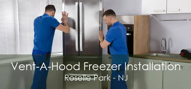 Vent-A-Hood Freezer Installation Roselle Park - NJ