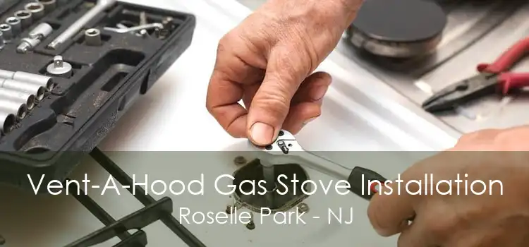 Vent-A-Hood Gas Stove Installation Roselle Park - NJ