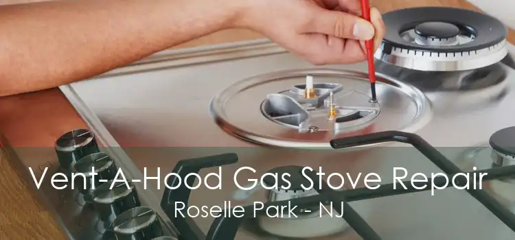 Vent-A-Hood Gas Stove Repair Roselle Park - NJ