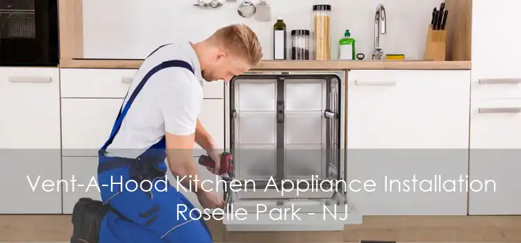 Vent-A-Hood Kitchen Appliance Installation Roselle Park - NJ