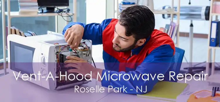 Vent-A-Hood Microwave Repair Roselle Park - NJ