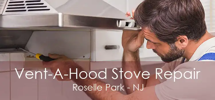 Vent-A-Hood Stove Repair Roselle Park - NJ