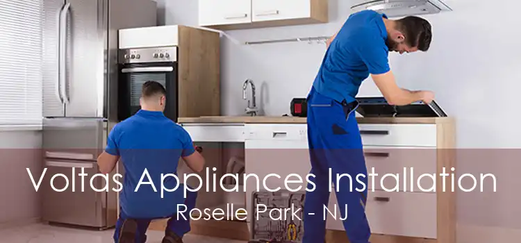 Voltas Appliances Installation Roselle Park - NJ