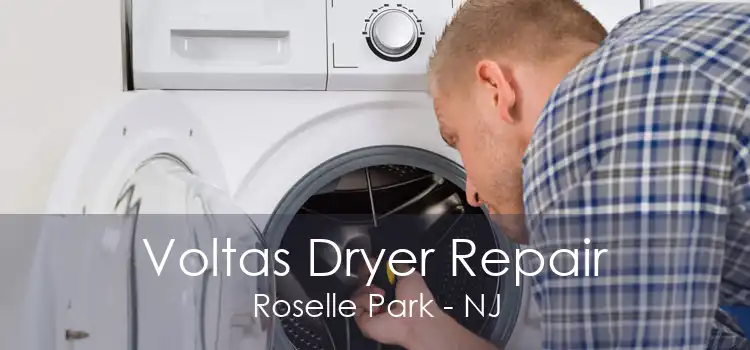 Voltas Dryer Repair Roselle Park - NJ
