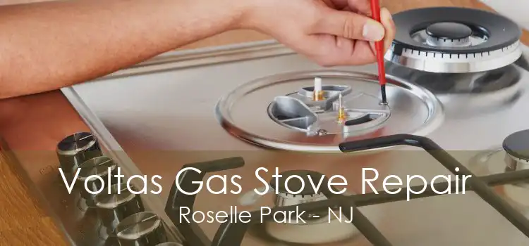 Voltas Gas Stove Repair Roselle Park - NJ