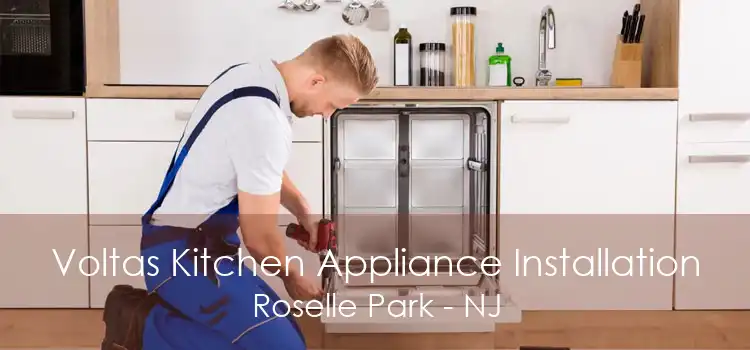 Voltas Kitchen Appliance Installation Roselle Park - NJ