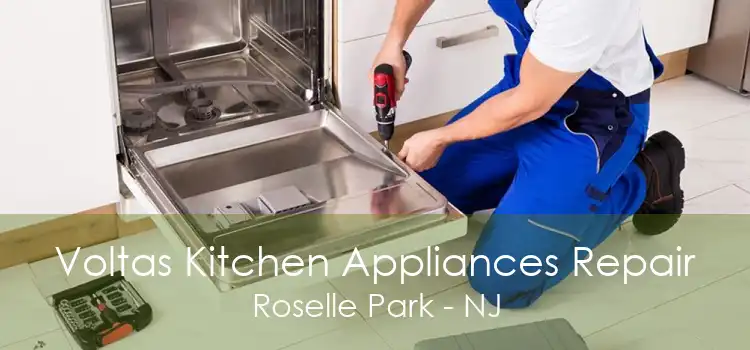 Voltas Kitchen Appliances Repair Roselle Park - NJ
