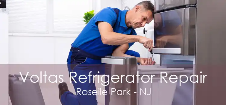 Voltas Refrigerator Repair Roselle Park - NJ