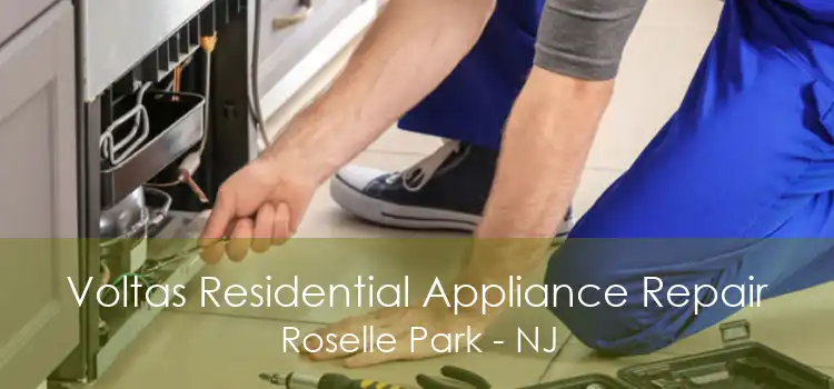 Voltas Residential Appliance Repair Roselle Park - NJ