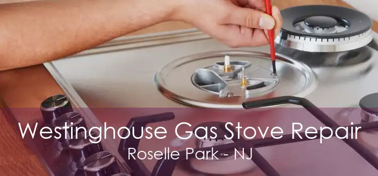 Westinghouse Gas Stove Repair Roselle Park - NJ
