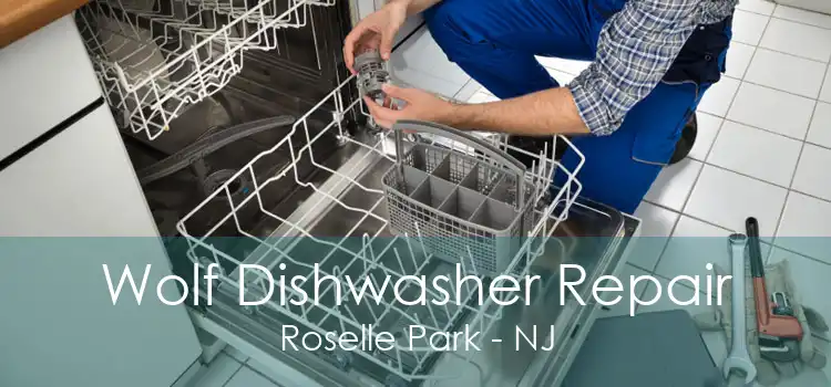 Wolf Dishwasher Repair Roselle Park - NJ