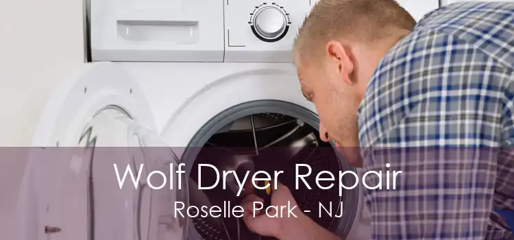 Wolf Dryer Repair Roselle Park - NJ