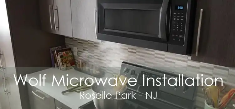 Wolf Microwave Installation Roselle Park - NJ