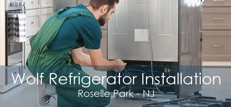 Wolf Refrigerator Installation Roselle Park - NJ