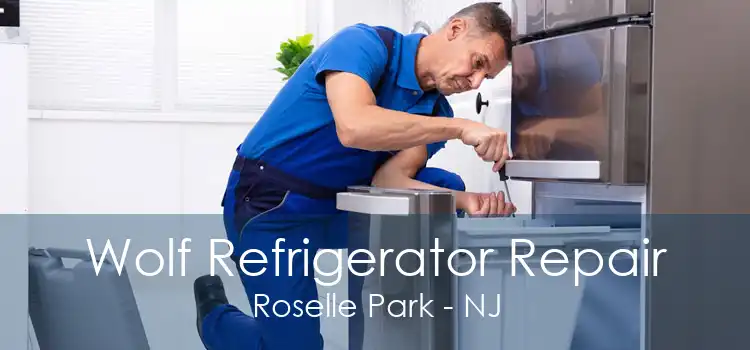 Wolf Refrigerator Repair Roselle Park - NJ