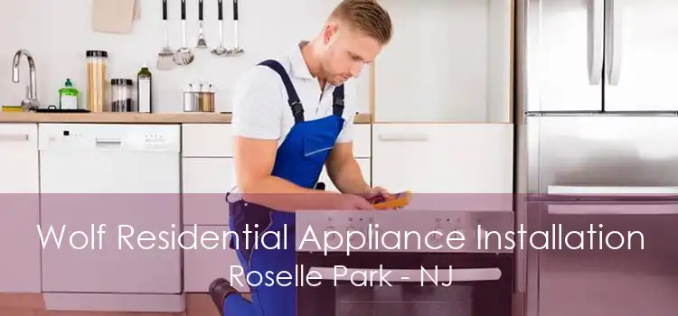 Wolf Residential Appliance Installation Roselle Park - NJ