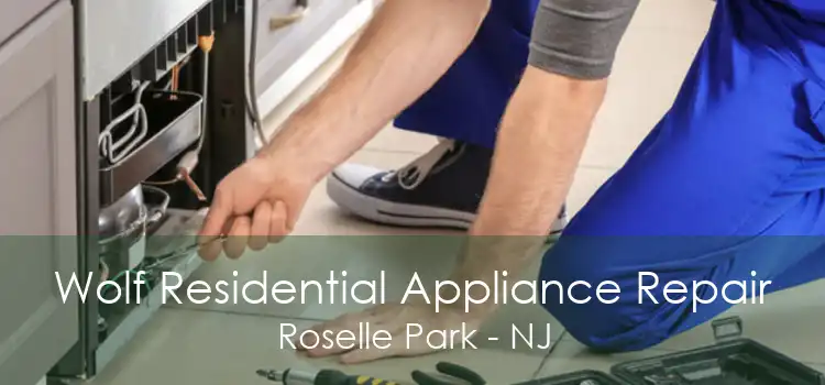 Wolf Residential Appliance Repair Roselle Park - NJ