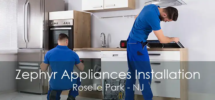Zephyr Appliances Installation Roselle Park - NJ