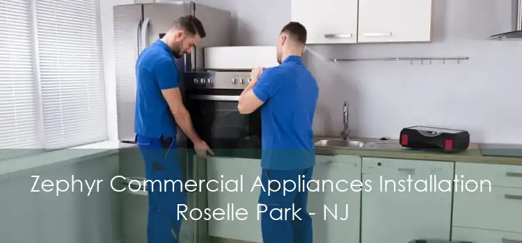 Zephyr Commercial Appliances Installation Roselle Park - NJ