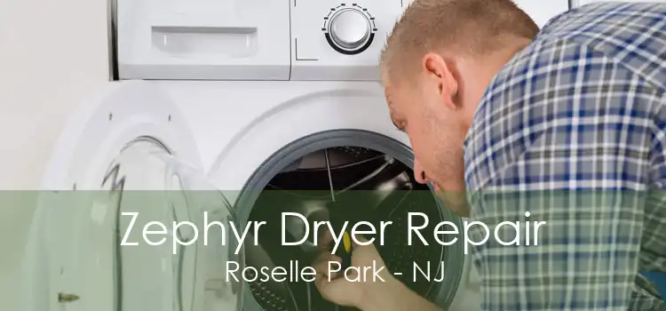 Zephyr Dryer Repair Roselle Park - NJ