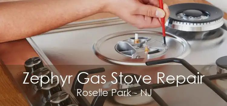 Zephyr Gas Stove Repair Roselle Park - NJ