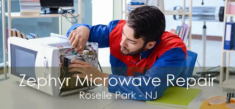 Zephyr Microwave Repair Roselle Park - NJ