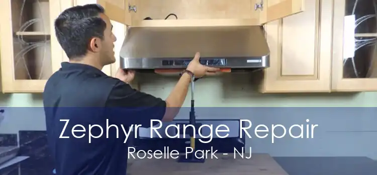 Zephyr Range Repair Roselle Park - NJ