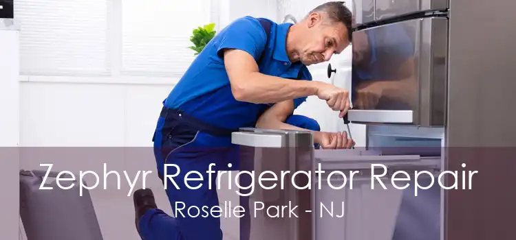 Zephyr Refrigerator Repair Roselle Park - NJ