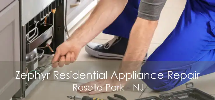Zephyr Residential Appliance Repair Roselle Park - NJ