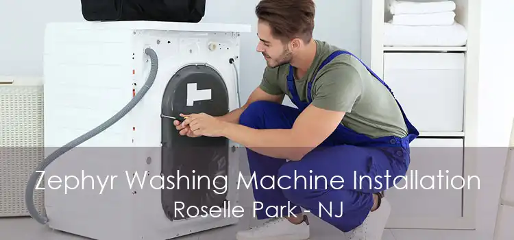 Zephyr Washing Machine Installation Roselle Park - NJ